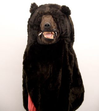 Illustration for article titled Bear Sleeping Bag: Getting Mauled To Death Might Be a Better Option
